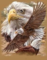 Без бренда «2KMB-4315» во Владимире 