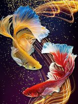 Без бренда «Желтая и красная рыбки» во Владимире 