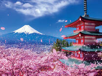 Без бренда «2KSB-7277» во Владимире 