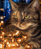 Без бренда «2KXSB-0678» во Владимире 