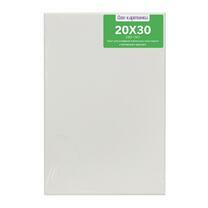 Без бренда «Коробка 80 шт.: Холст Две картинки на подрамнике 20X30» во Владимире 