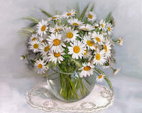 Без бренда «Букет ромашек с колосками в круглой вазе (20шт)» во Владимире 