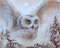 Без бренда «Полярная сова над лесом (20шт)» во Владимире 