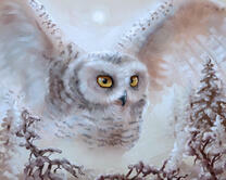 Без бренда «Полярная сова над лесом (20шт)» во Владимире 
