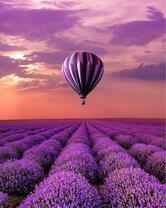 Без бренда «Фиолетовый воздушный шар над фиолетовым лавандовым полем (20шт)» во Владимире 
