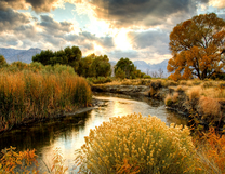 Без бренда «BOX25-GX29355» во Владимире 