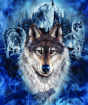 Без бренда «BOX40-2KXSB-0687» во Владимире 