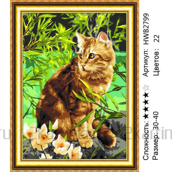 Алмазная мозаика 30x40 Испуганный котик возле цветов