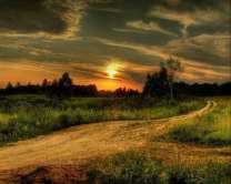 Без бренда «Проселочная дорога на закате» во Владимире 