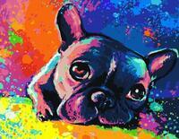 Картина по номерам «Маленький щенок французского бульдога»