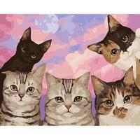 Без бренда «Такие разные котики» во Владимире  в интернет-магазине  Без бренда «Такие разные котики» во Владимире