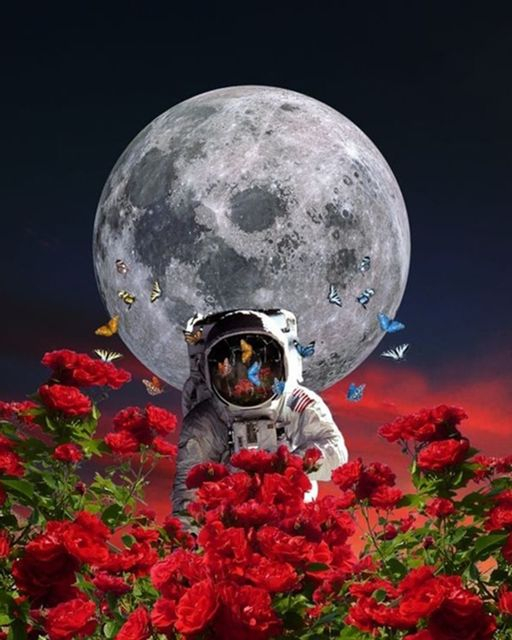 Алмазная мозаика 40x50 Космонавт среди роз и бабочек