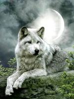 Без бренда «Коробка 25 шт. картин по номерам BOX25-GX21058» во Владимире в интернет-магазине Без бренда «Коробка 25 шт. картин по номерам BOX25-GX21058» во Владимире