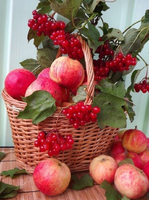 Без бренда «Коробка 25 шт. картин по номерам BOX25-GX5174» во Владимире 