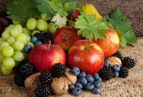 Без бренда «Фрукты, ягоды и орехи» во Владимире 