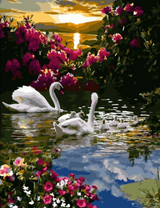 Лебеди с потомством среди цветов