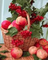 Без бренда «Плетёная корзина с калиной и яблоками» во Владимире 