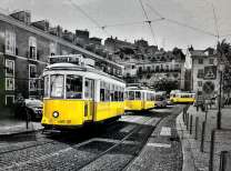 Желтые трамваи на городской улице