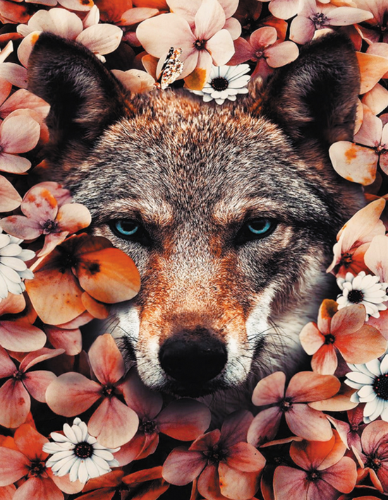 Алмазная мозаика 40x50 Серый волк среди осенних цветов