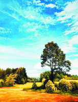 Без бренда «Осенний пейзаж с голубым небом» во Владимире  в интернет-магазине  Без бренда «Осенний пейзаж с голубым небом» во Владимире