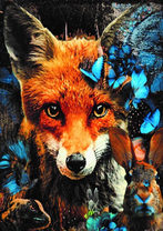 Без бренда «Лиса и синие бабочки» во Владимире 