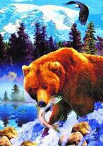 Бурый медведь на охоте за рыбой