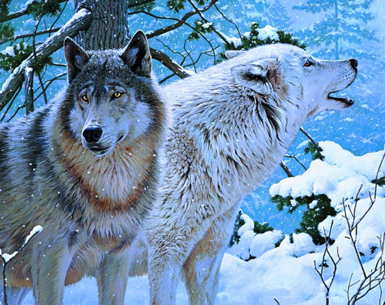 Мозаика 40x50 без подрамника Два волка в заснеженном лесу