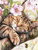 Без бренда «Волосатый котик спит на ветви яблони» во Владимире в интернет-магазине  Без бренда «Волосатый котик спит на ветви яблони» во Владимире